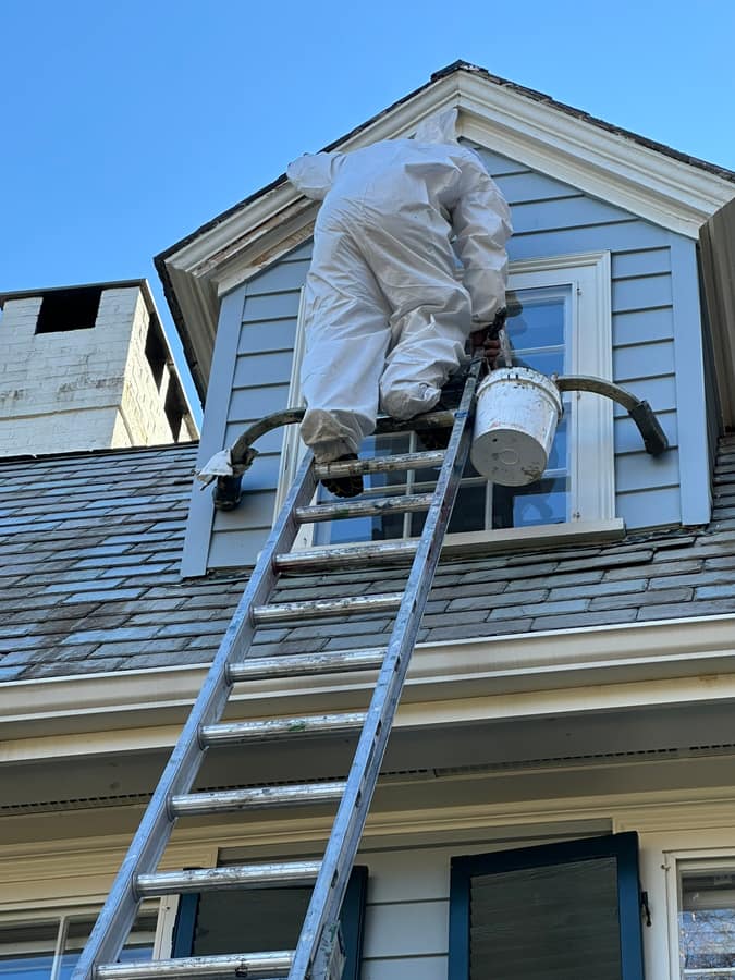 Gilberto Pro Painting project photo 29
